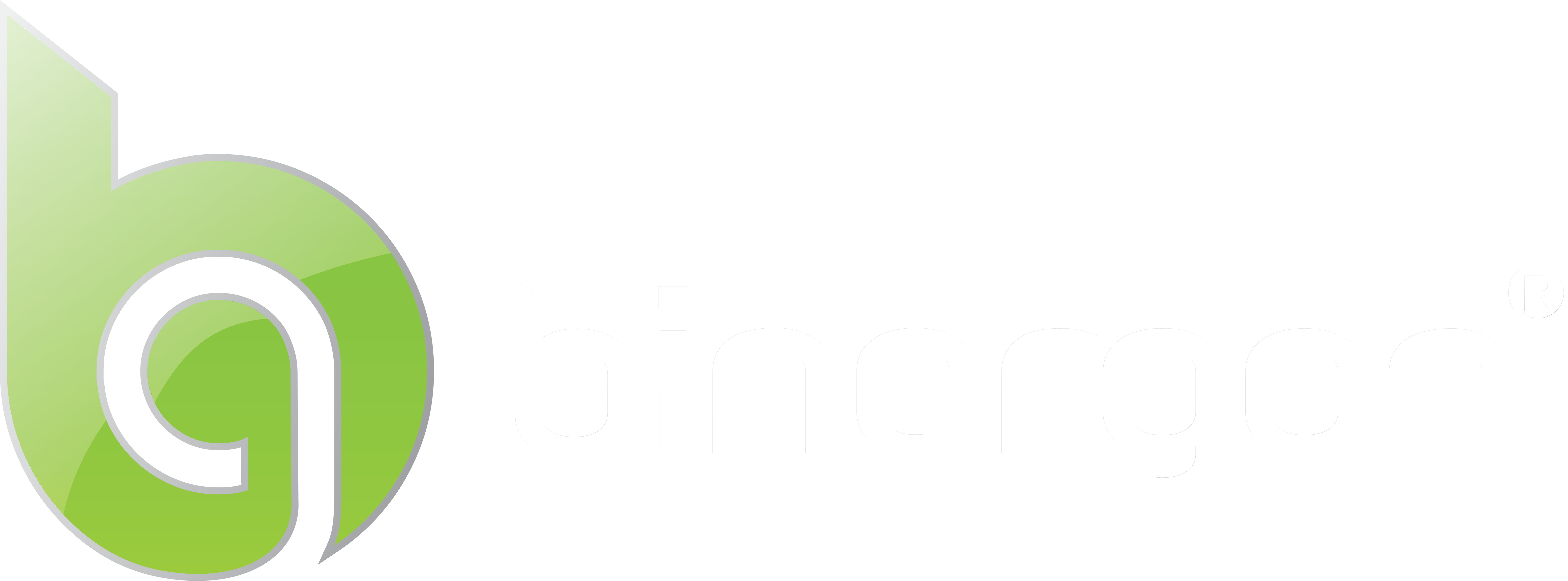 Binargon